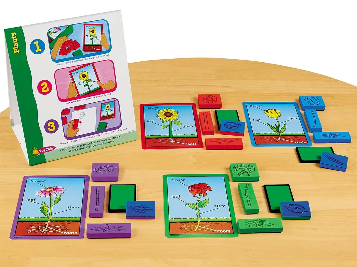 Plants Instant Learning Center - US 2602