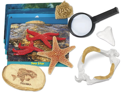 Sea Life Specimen Center - US 9536