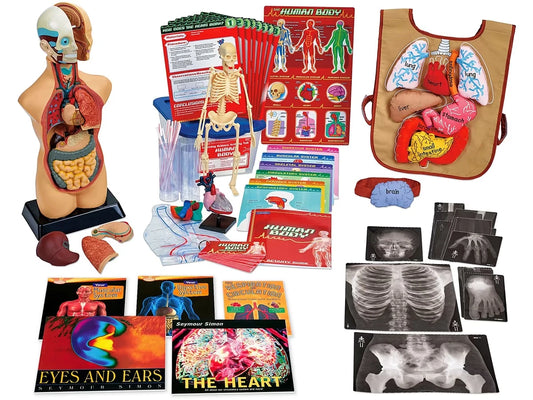 AHA Healthy Hearts & Brains Kit - US 2209