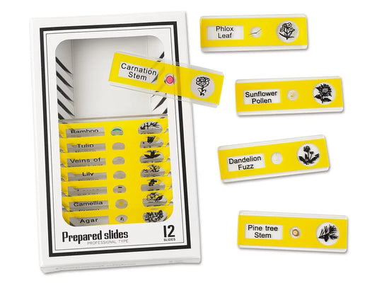 Plants Prepared Slide Kit - US 6051