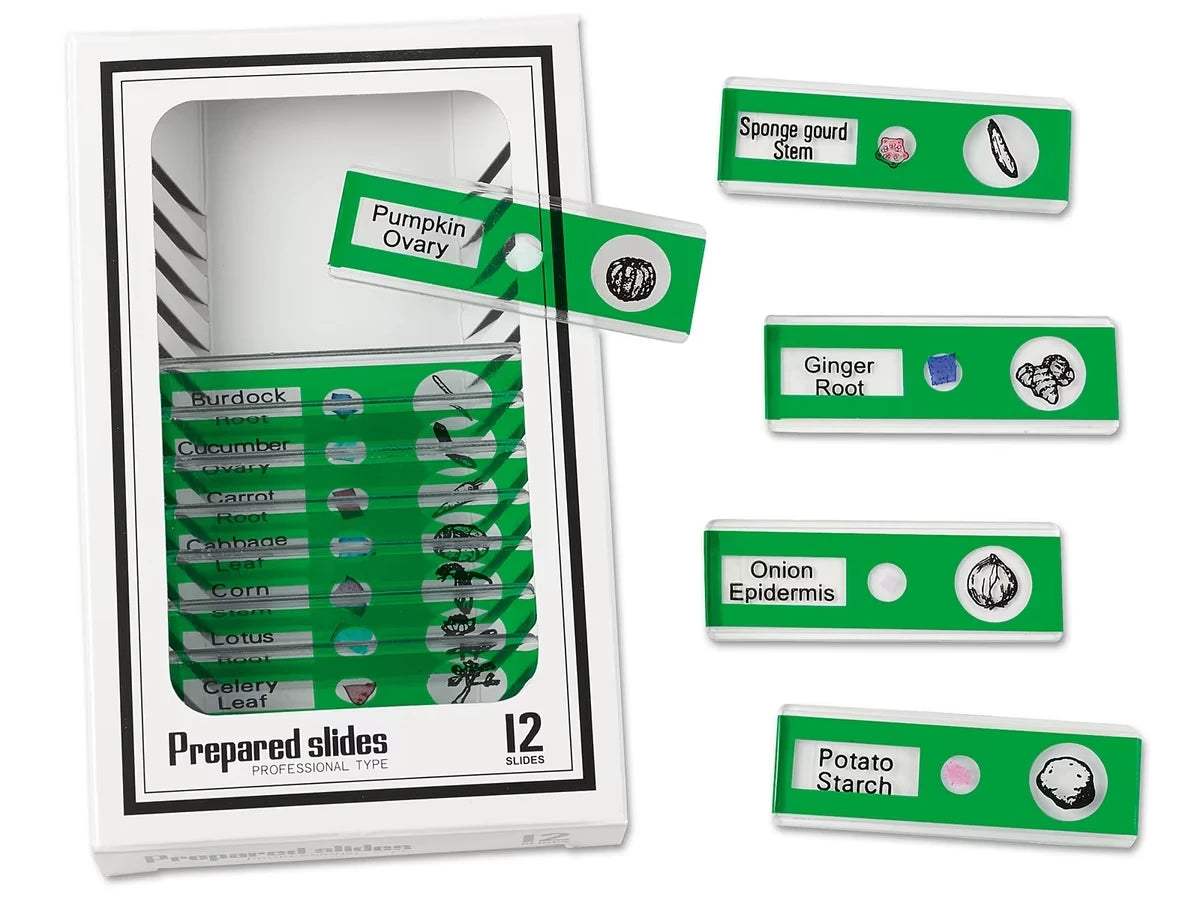 Vegetables Prepared Slide Kit - US 1736