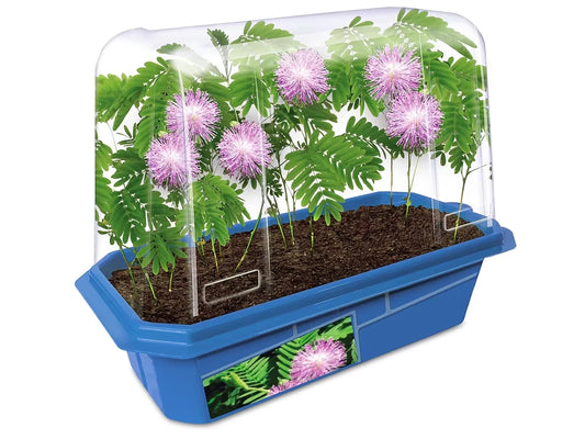 Grow-Your-Own Moving Plant - US 6519