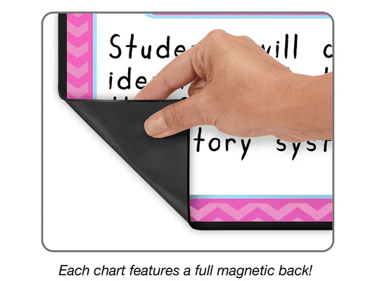 Magnetic Write & Wipe Organization Charts - US 4022