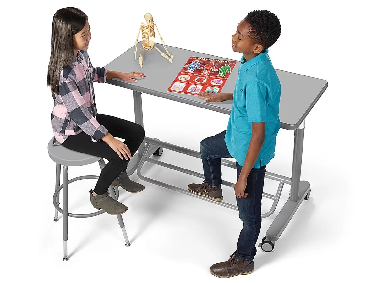 Flex-Space Mobile Standing Desk for Two - Gray - US 5788