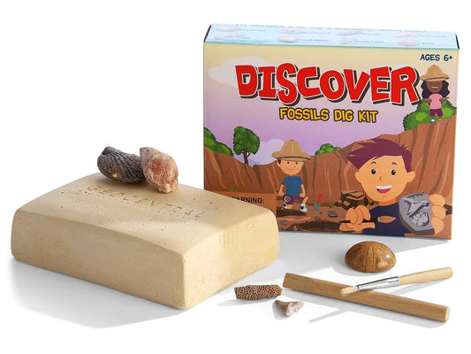 Fossil Excavation Kit - US 6306